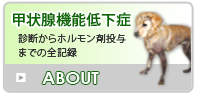 甲状腺機能低下症【診断からホルモン剤投与までの全記録】