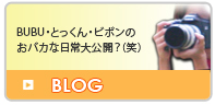 BLOG【BUBU・とっくん・ビボンのおバカな日常大公開（笑）】