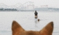 海の公園