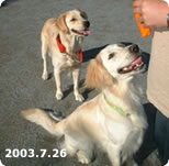 【2歳】2003.7.26　近所の公園で