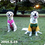【3歳】2004.06.15　東高根森林公園にて