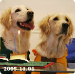 【4歳】2005.11.01　誕生日を一緒に。