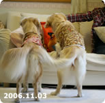 【5歳】2006.11.03　お揃いの服で5歳のお祝い
